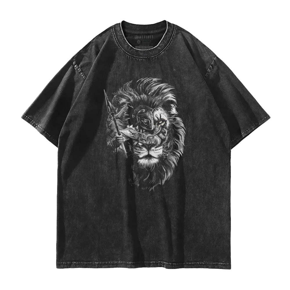 Paladin Lion Washed T-Shirt